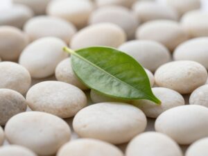 Ile kosztuje dobrowolne ubezpieczenie zdrowotne w 2026 roku? Pełny przewodnik krok po kroku.